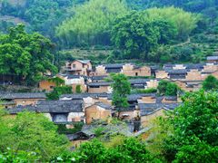 -杨家堂村