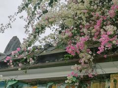 -深圳国际园林花卉博览园