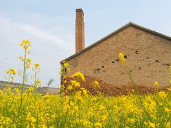 -商丘古城-应天书院