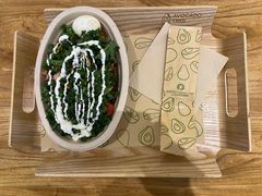 -油梨树 AVOCADO TREE(亮马桥店)