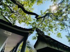 -红梅公园