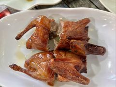 -东鸽皇(奥园·中环广场店)