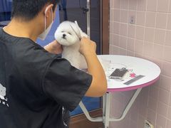 -FAELING PETS美天灵宠物(富力广场店)