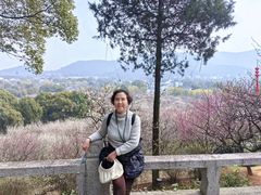 -香雪海