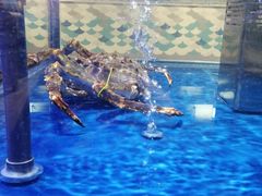 -盒马鲜生(枣园路店)