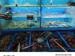 -老东镇啤酒屋海鲜加工·蒸汽海鲜·海鲜烧烤(台东店)