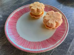 -Hi City·城市之巅