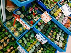 -无锡文化工艺品市场(槐古路店)