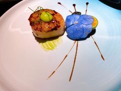 轻煎澳带佐奶油花菜泥-404干式熟成牛排馆•聚会餐厅