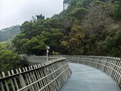 -福道