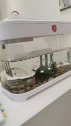 -水沐莲清瑜伽·普拉提