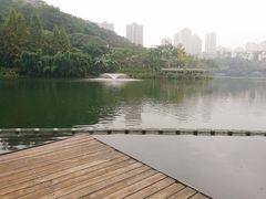 -重庆彩云湖湿地公园