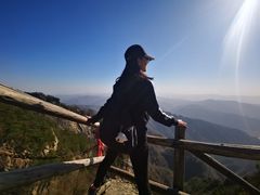 -王顺山国家森林公园