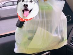 -吉禧粤特色甜品小吃(腾飞店)