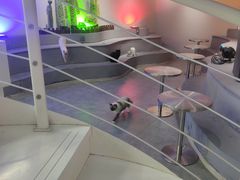 -极木²邸 人与宠物·互动社区