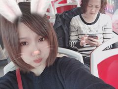 -BUS TOUR观光巴士
