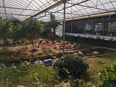 -无锡动物园·太湖欢乐园