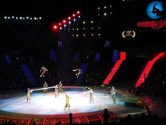 -珠海横琴长隆《卡卡虎奇遇记》