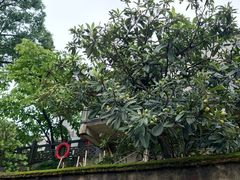 -新安江山水画廊风景区