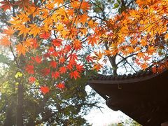 -梨园照相馆·签证照·身份证护照回执采集拍摄网点(北京店)