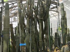 -南山植物园