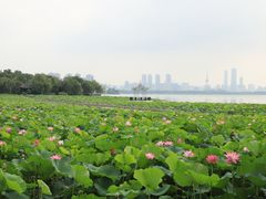 -云龙湖旅游景区
