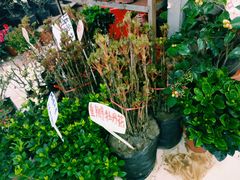 -无锡文化工艺品市场(槐古路店)