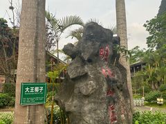 -明仕田园