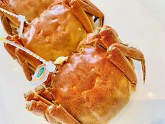 -Social 秀西餐厅-长沙瑞吉酒店(运达店)