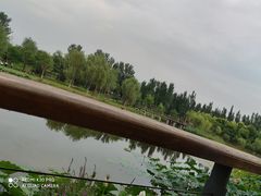 -东郊湿地公园
