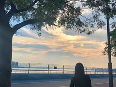 -钱江新城灯光秀