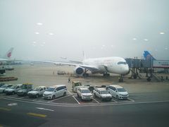 -东方航空(虹桥路店)