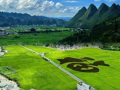 -万峰林风景区