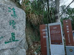 -梧桐山风景名胜区