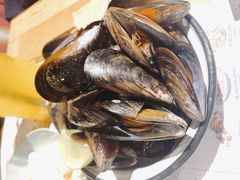 -Tapa Tapa