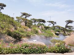 -罗红摄影艺术馆