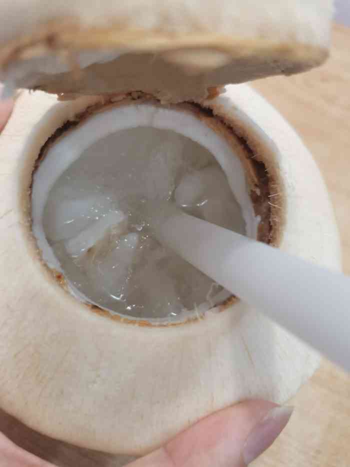 "-大众点评移动版