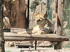 -鄂尔多斯野生动物园