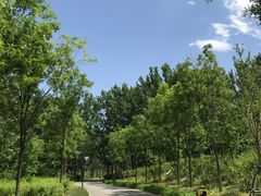-东郊湿地公园