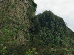 -府河摄影公园
