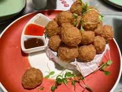 干炸丸子-孙记驴肉山庄(李桥店)