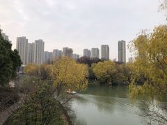 -青枫公园
