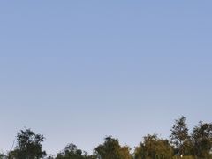 -大亚湾红树林城市湿地公园