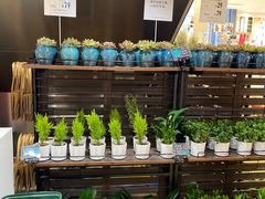-优衣库(深圳万象天地旗舰店)