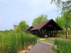 -永定河休闲森林公园