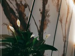 -水墨澜渟足道·SPA·传统(四望亭东关街店)