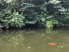 -北京凤凰岭