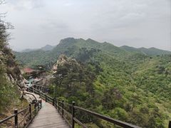 -大芦花风景区