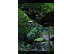 -关门山森林公园