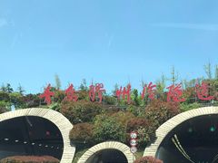 -胶州湾海底隧道